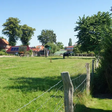 Hébergement de vacances Ferienbungalow 5